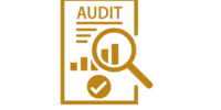 Contabilidad y Auditoría